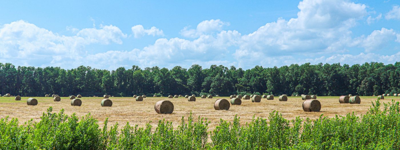 Lenoir County, North Carolina | Official Website